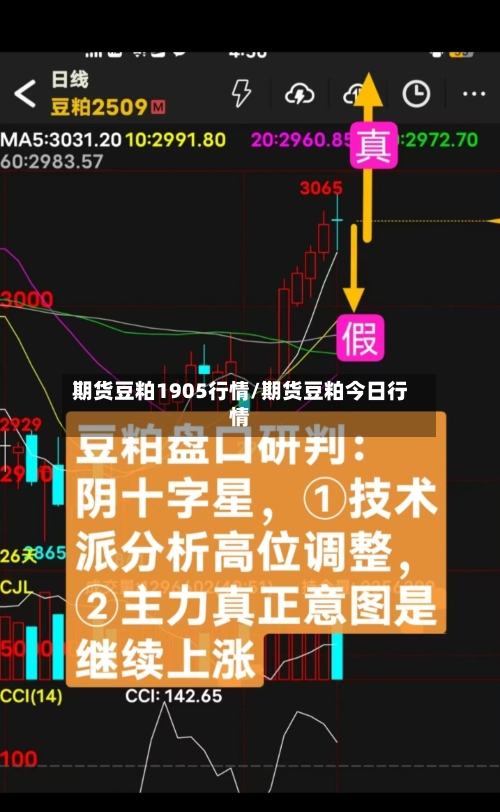 期货豆粕1905行情/期货豆粕今日行情