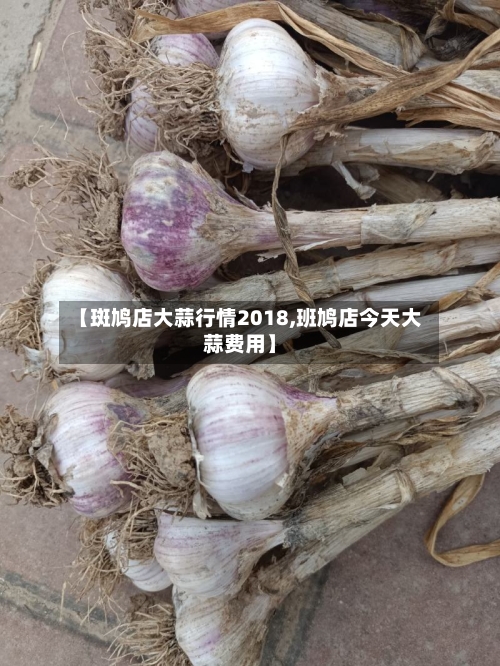 【斑鸠店大蒜行情2018,班鸠店今天大蒜费用】