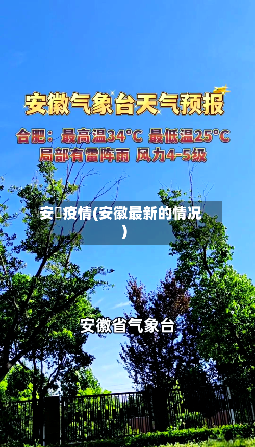 安嶶疫情(安徽最新的情况)-第3张图片
