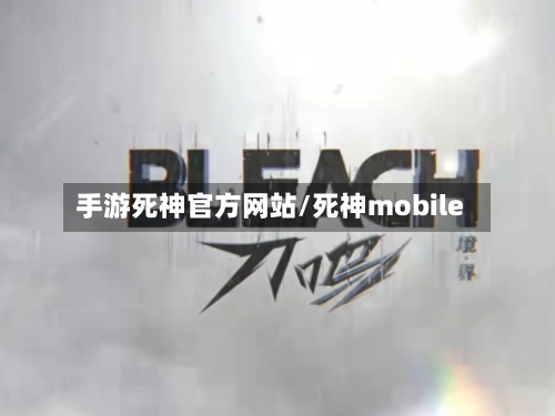手游死神官方网站/死神mobile