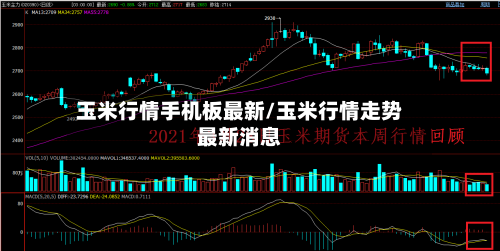 玉米行情手机板最新/玉米行情走势最新消息-第2张图片