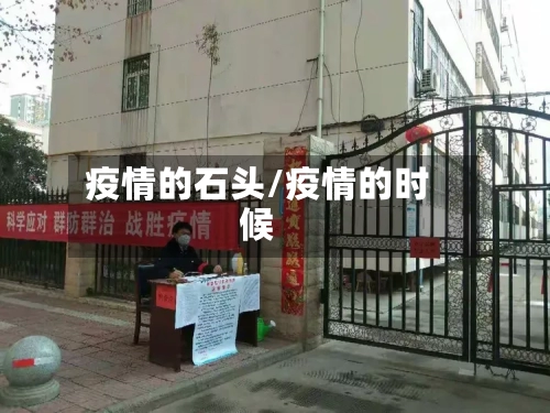 疫情的石头/疫情的时候-第2张图片