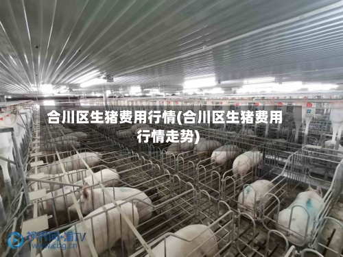 合川区生猪费用行情(合川区生猪费用行情走势)