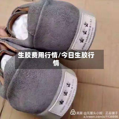生胶费用行情/今日生胶行情-第2张图片