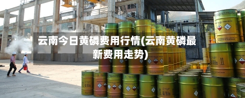 云南今日黄磷费用行情(云南黄磷最新费用走势)