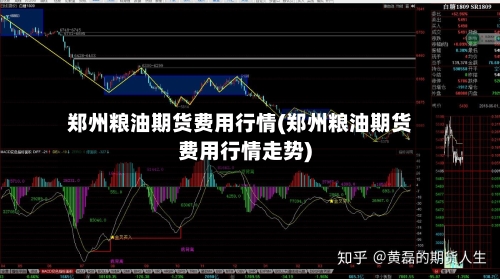 郑州粮油期货费用行情(郑州粮油期货费用行情走势)