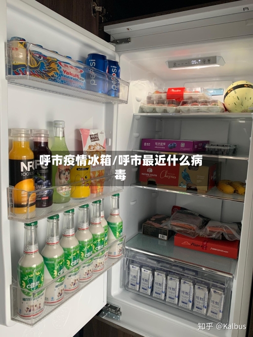 呼市疫情冰箱/呼市最近什么病毒-第2张图片