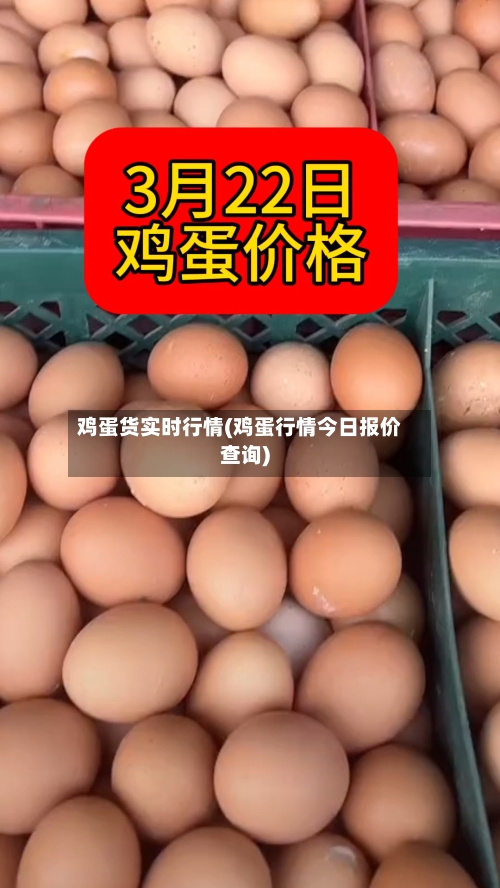 鸡蛋货实时行情(鸡蛋行情今日报价查询)