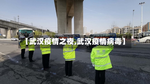 【武汉疫情之夜,武汉疫情病毒】-第2张图片