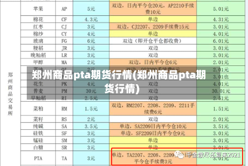郑州商品pta期货行情(郑州商品pta期货行情)