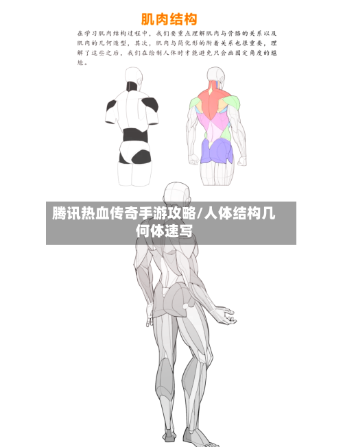 腾讯热血传奇手游攻略/人体结构几何体速写