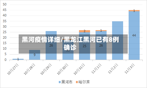 黑河疫情详细/黑龙江黑河已有8例确诊-第3张图片