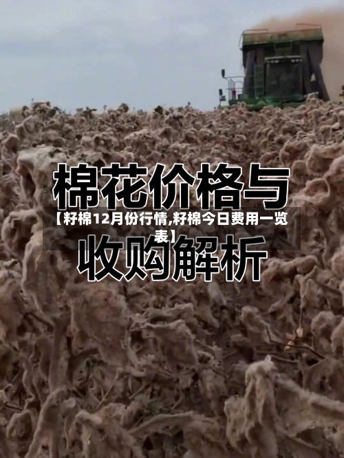 【籽棉12月份行情,籽棉今日费用一览表】-第2张图片