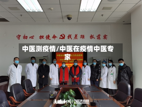 中医测疫情/中医在疫情中医专家