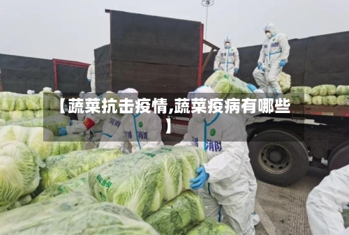 【蔬菜抗击疫情,蔬菜疫病有哪些】-第2张图片