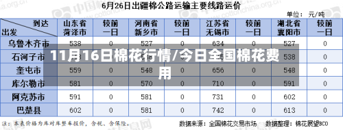 11月16日棉花行情/今日全国棉花费用