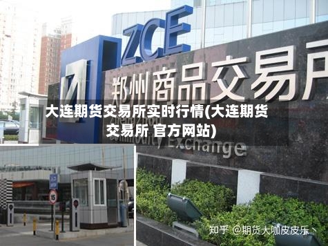 大连期货交易所实时行情(大连期货交易所 官方网站)-第3张图片