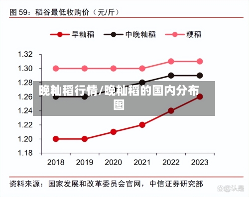 晚籼稻行情/晚籼稻的国内分布图-第2张图片